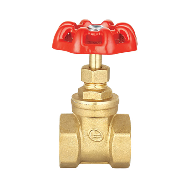 Gate Valve 1 inch Double-Lin